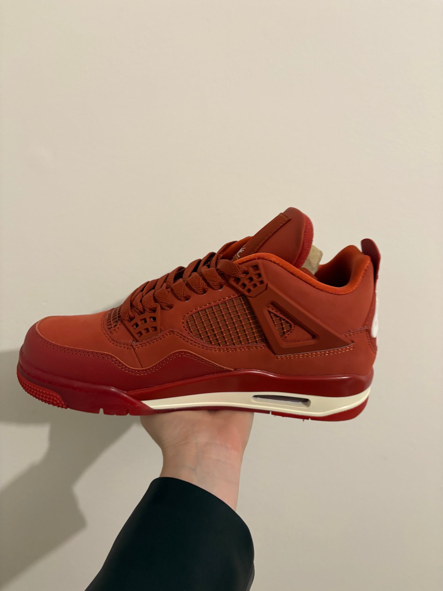 Jordan 4 Bike