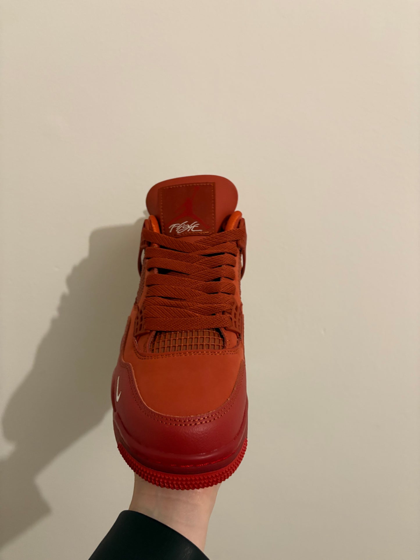 Jordan 4 Bike